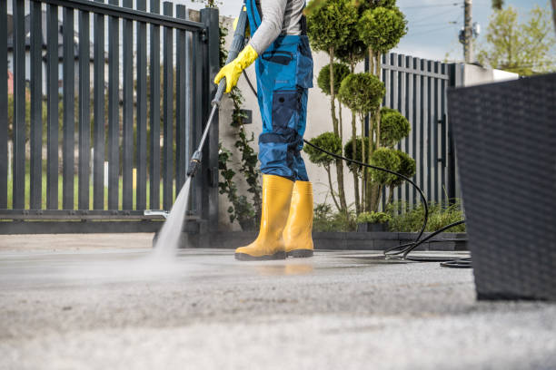 Best Local Pressure Washing Services  in Rochester, MI